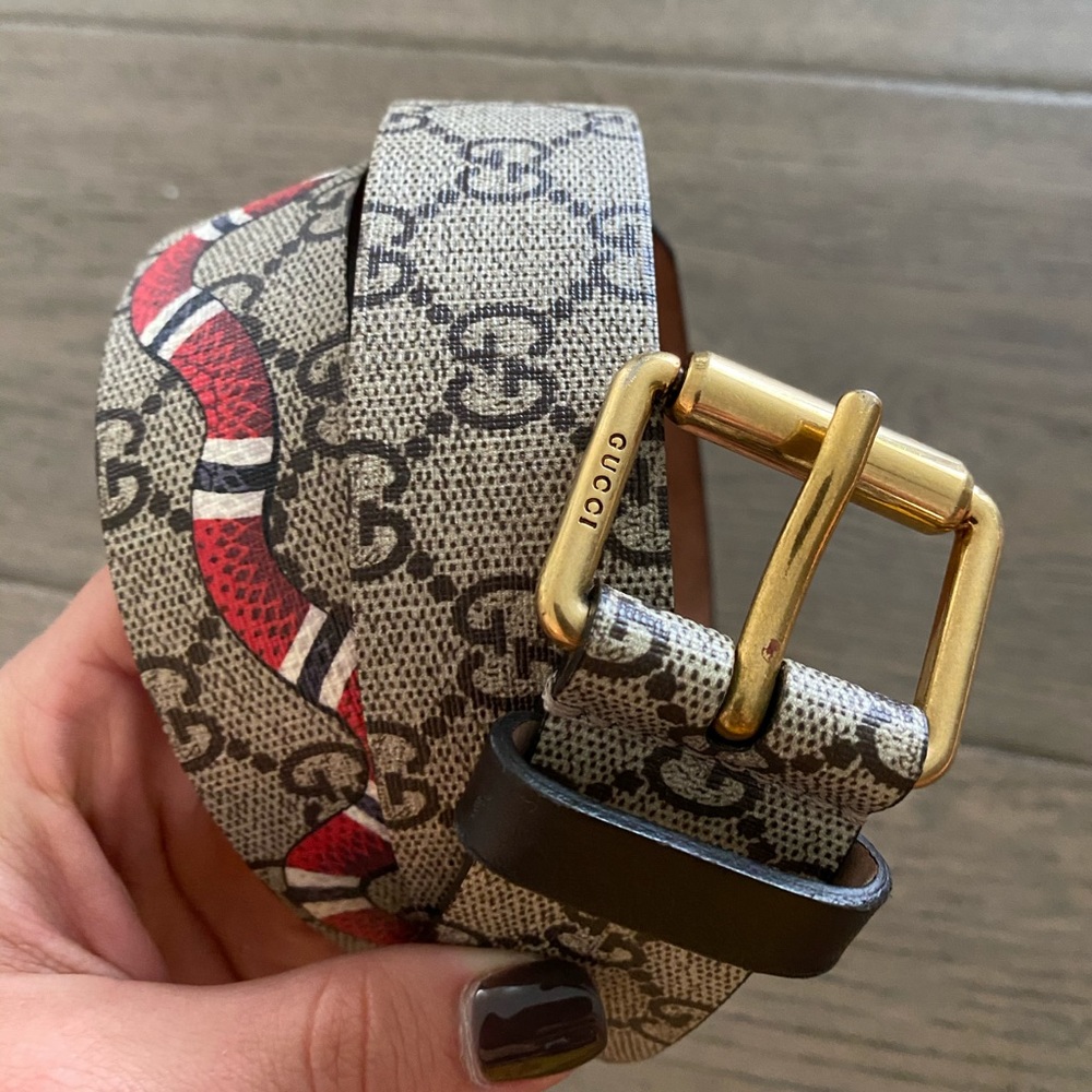 GG Supreme belt with Kingsnake print- Gucci Belt